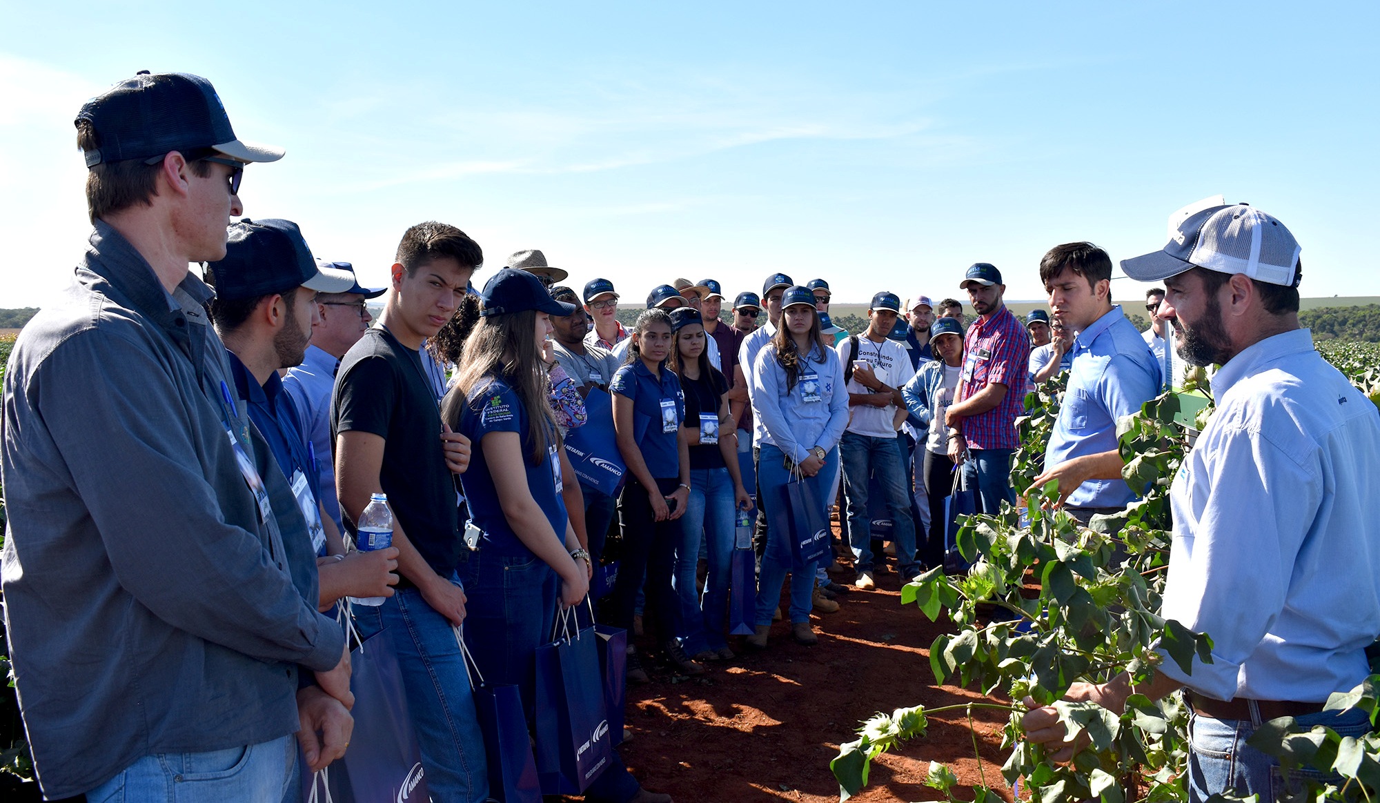 Dia Técnico do Algodão reúne mais de 250 pessoas em Campo Verde