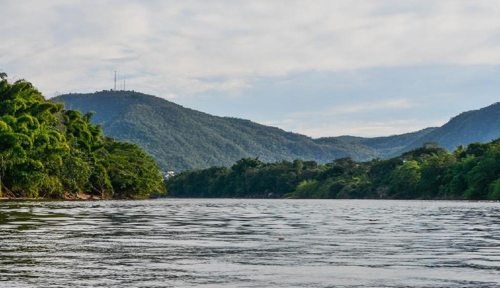 Bolsonaro, Mendes e Caiado lançam programa de recuperação de áreas degradadas
