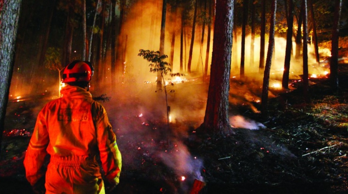 Queimadas florestais preocupam o Corpo de Bombeiros que promove curso
