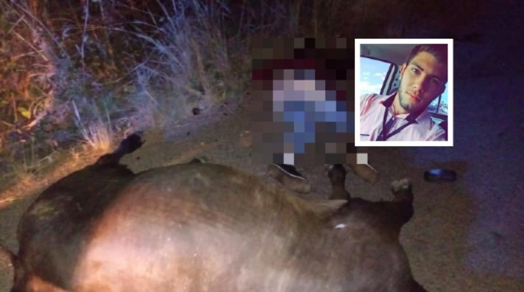 Jovem de 19 anos morre ao colidir motocicleta em boi em rodovia estadual
