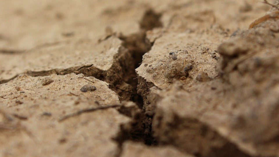 Tremor de terra é registrado na costa do Nordeste