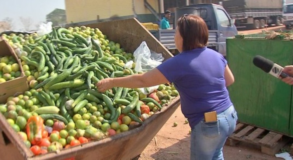 Quase 3 toneladas de alimentos vão para o lixo diariamente na Ceasa em Cuiabá
