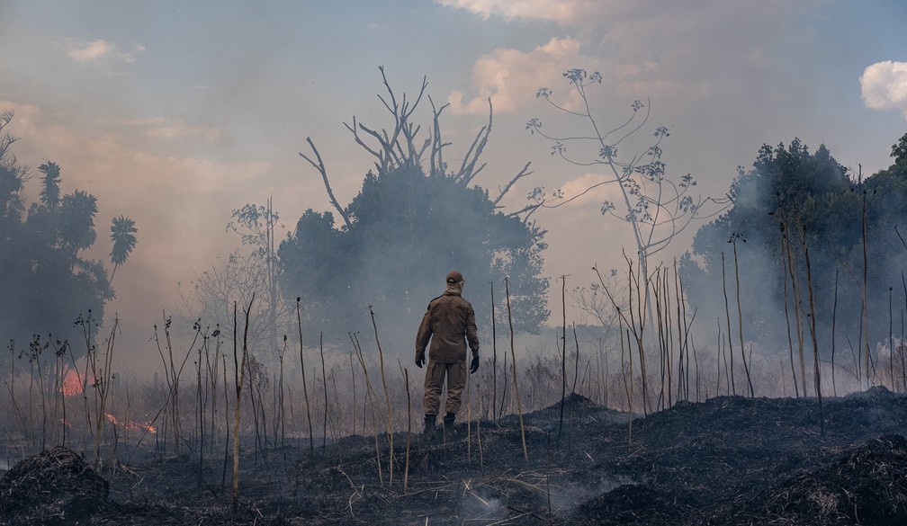 MT tem mais de 25 mil focos de calor neste ano e lidera ranking nacional, diz Inpe