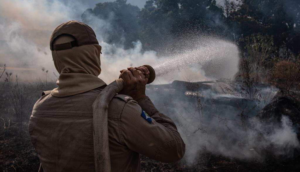 Fotos mostram trabalho intenso do Governo contra queimadas e desmatamento ilegal no Mato Grosso; confira