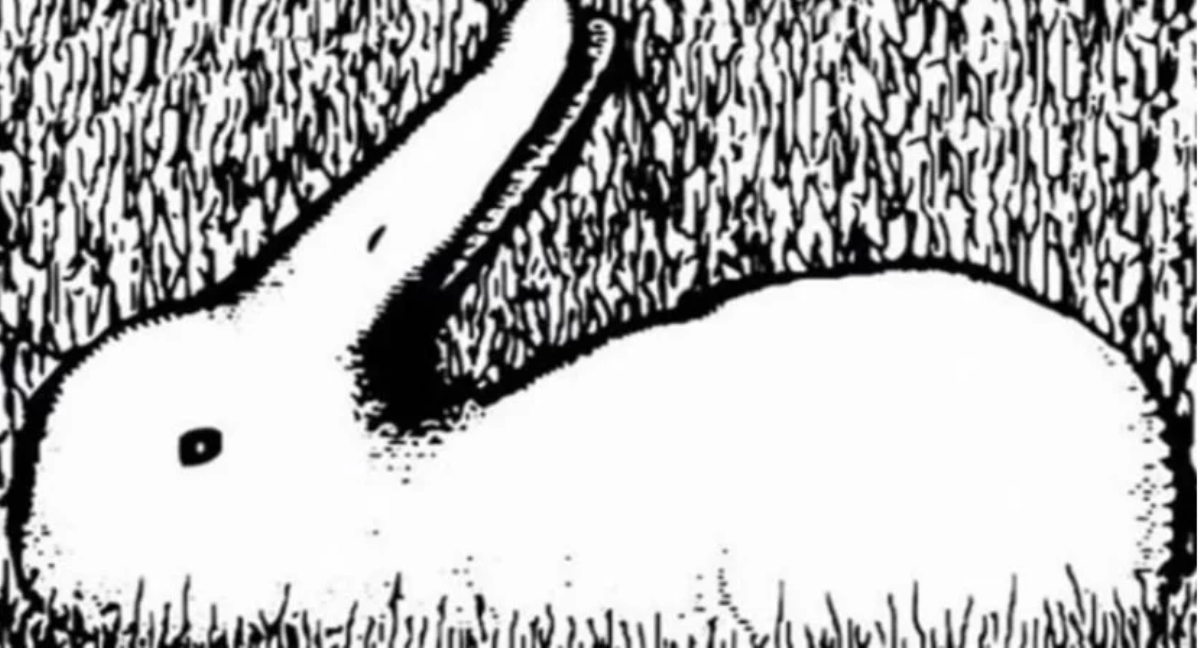 Qual animal você enxerga nesta imagem? Sua resposta revela como seu cérebro funciona!