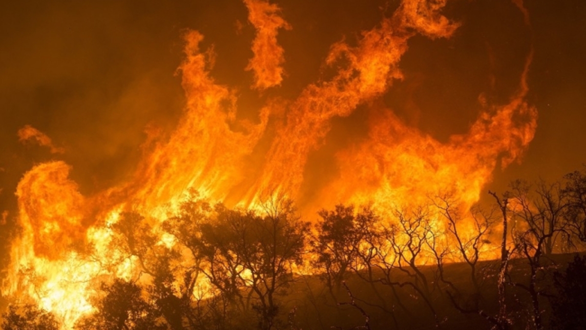 Aquecimento global traz doenças antigas de volta
