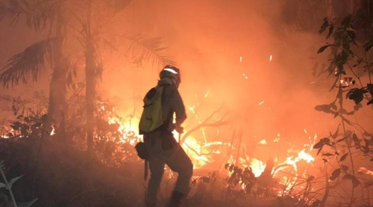 Bombeiros tentam combater queimada próxima à Serra de São Vicente