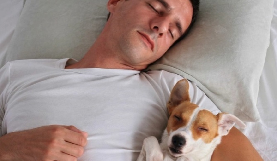 Cachorros imitam a personalidade de seus donos, aponta estudo