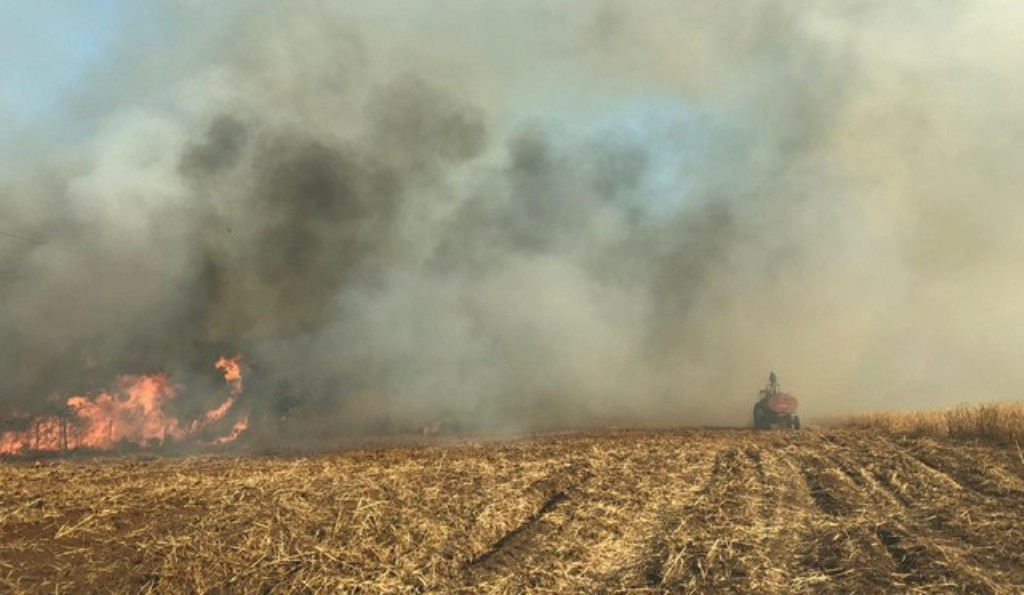 Bombeiros tentam controlar incêndio que atingiu 400 hectares de fazenda em Rondonópolis
