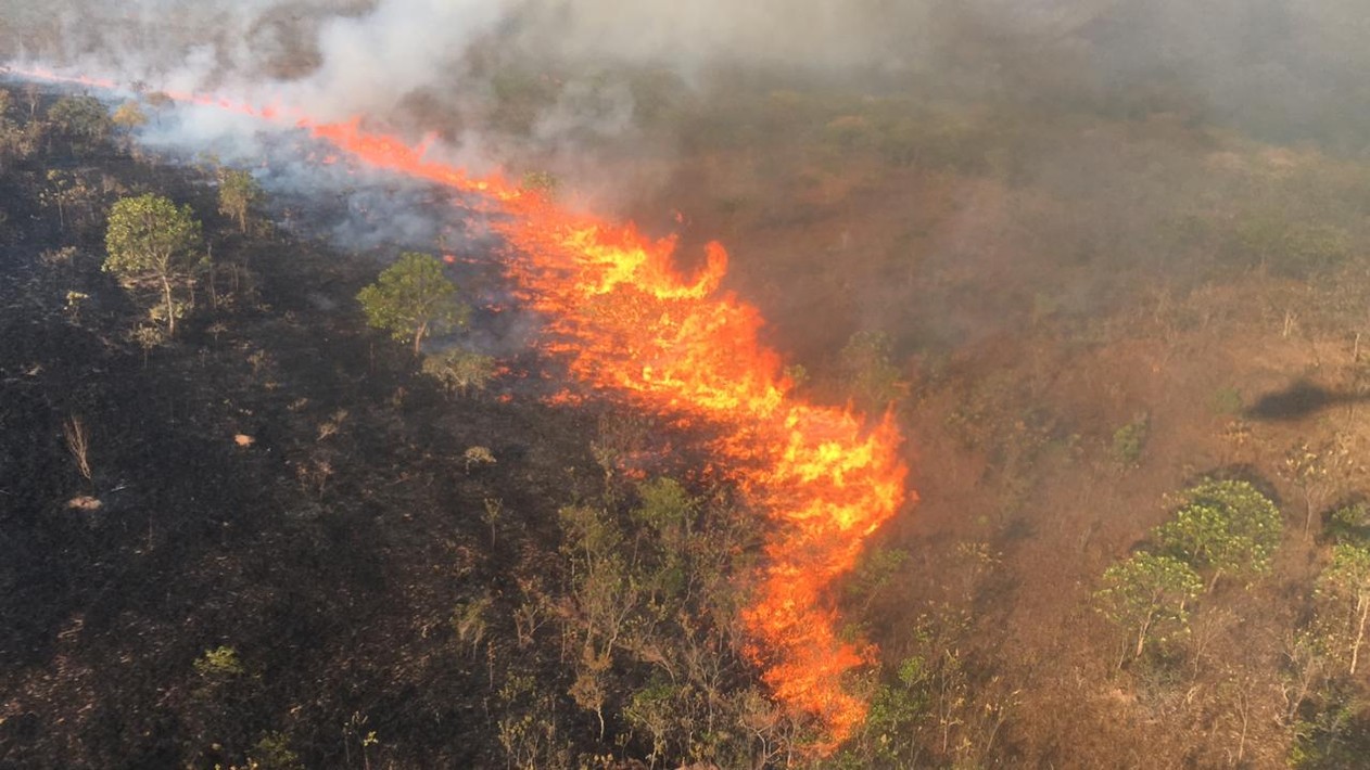 Brigadistas recebem reforço de outros estados para combater queimadas em Chapada dos Guimarães