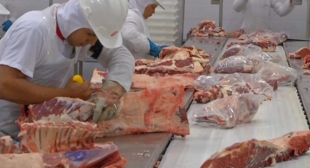 China passa a comprar mais carne bovina de MT e mercado começa a se recuperar
