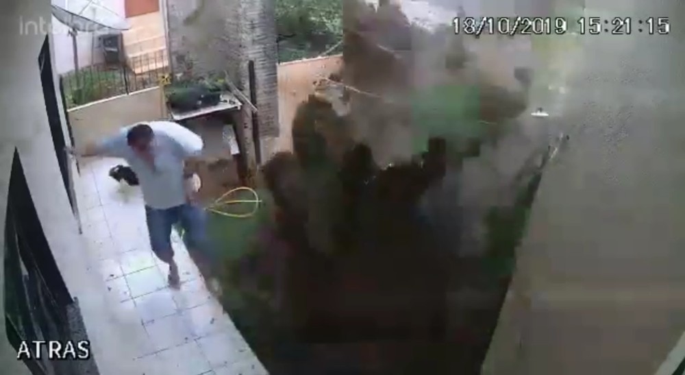 Homem explode quintal de casa ao tentar matar baratas com veneno, gasolina e fogo; veja vídeo