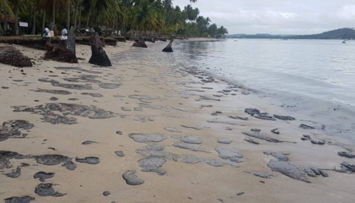 Óleo causa pior desastre já visto em recifes de corais brasileiros