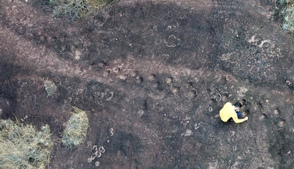 Pegadas que podem ser de animal pré-histórico são identificadas em Poxoréu