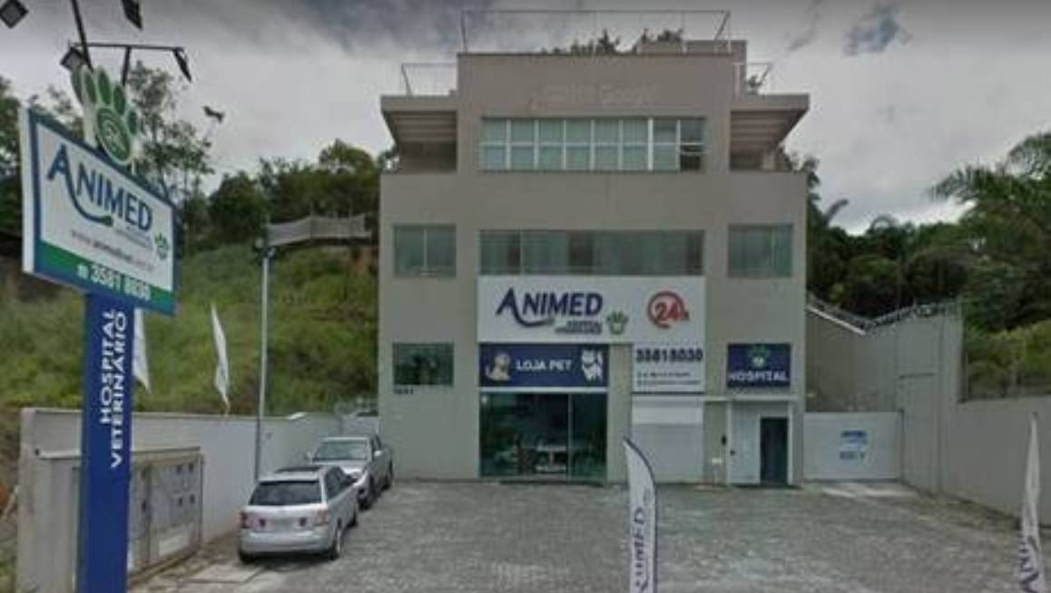 Clínica congelava animais mortos para cobrar internação, diz polícia