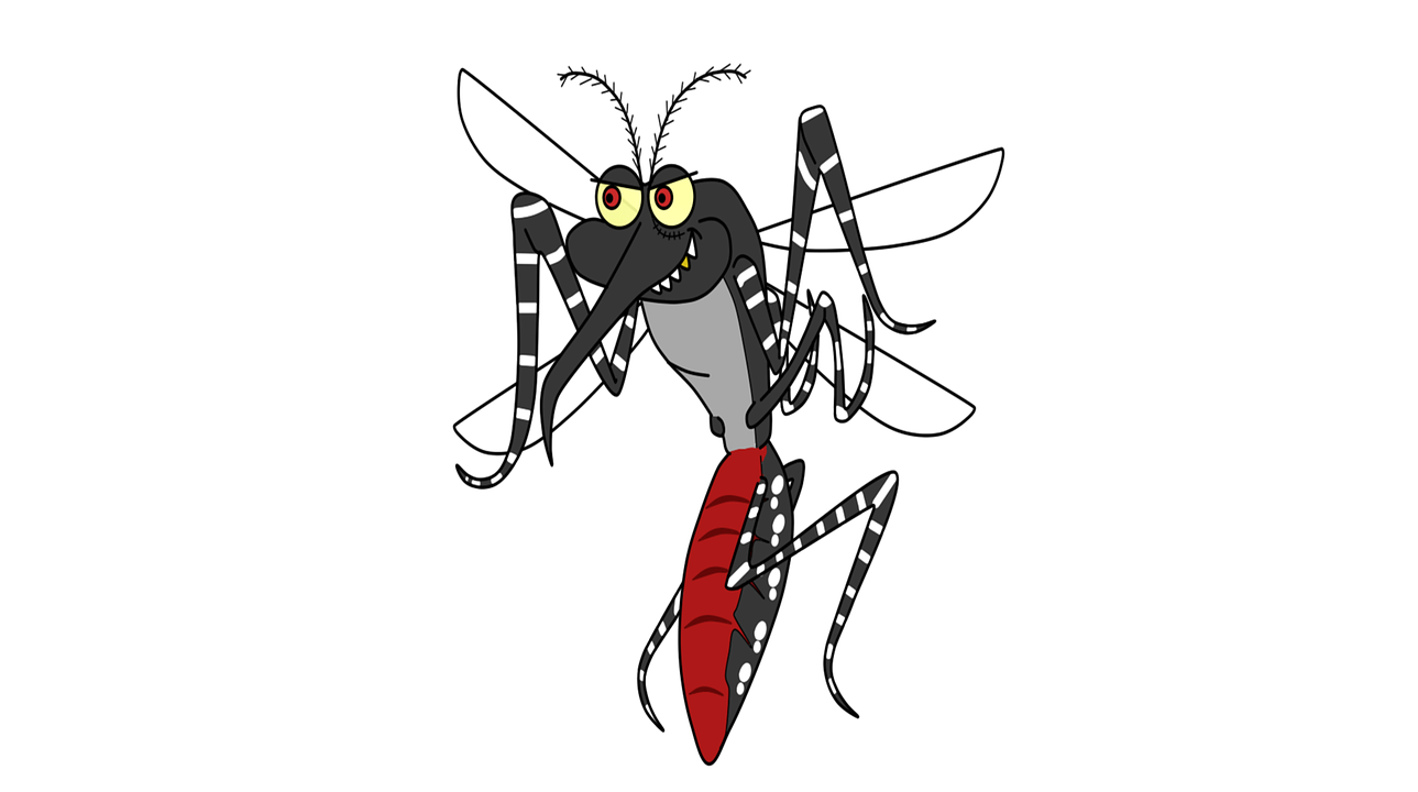Pesquisadores criam armadilha para identificar o Aedes aegypti 