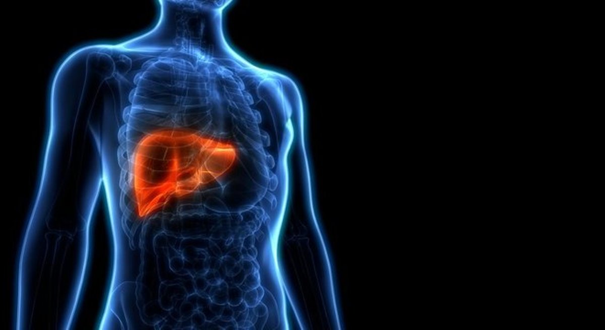 5 alimentos para melhorar a saúde do seu fígado