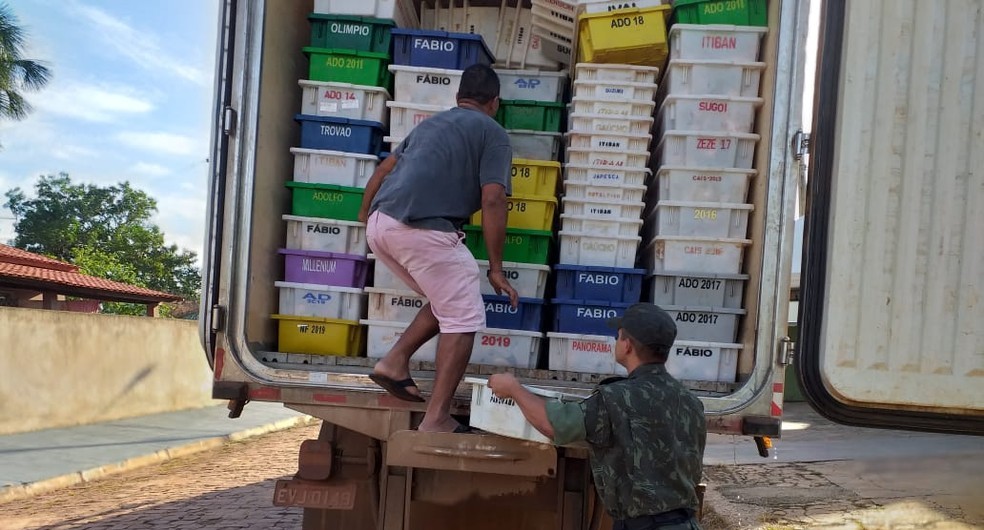 Barra do Bugres | PM apreende mais de 10 toneladas de pescado impróprio para consumo humano