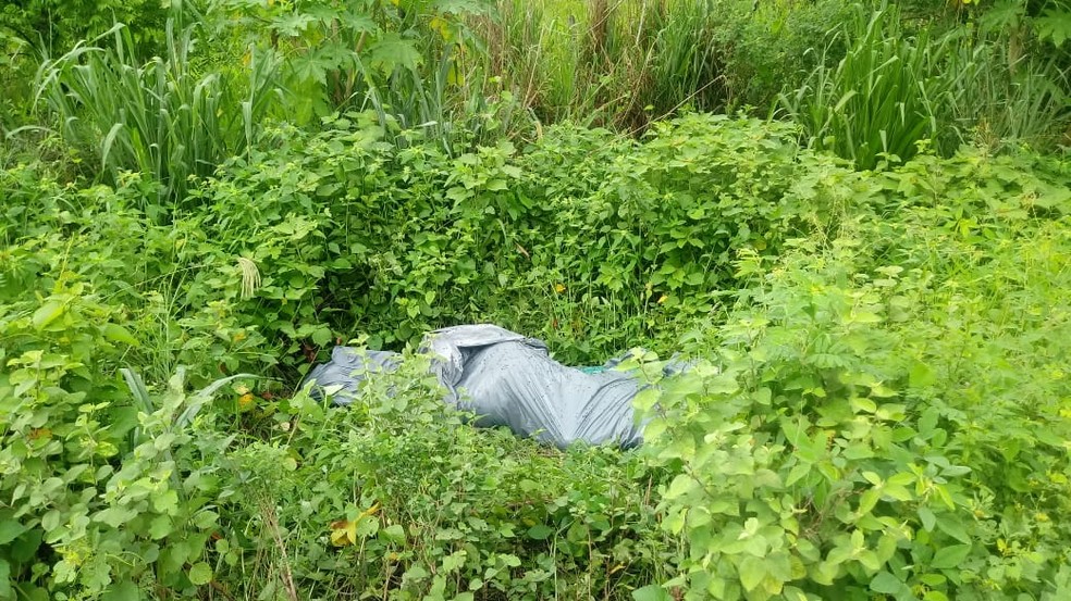 Cuiabá | Corpo de vaqueiro é encontrado enrolado em lona jogado em matagal
