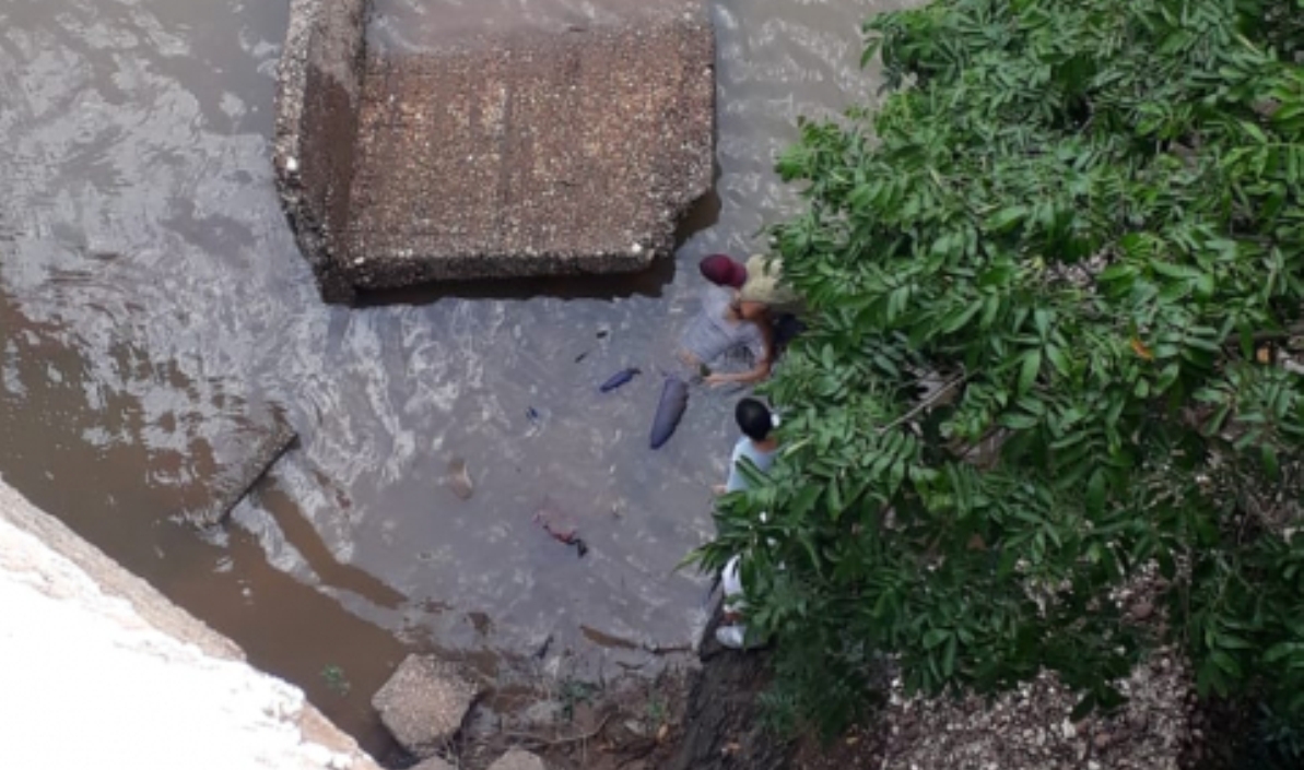 Homem se joga da Ponte Nova e cai sobre pedras na beira do Rio Cuiabá