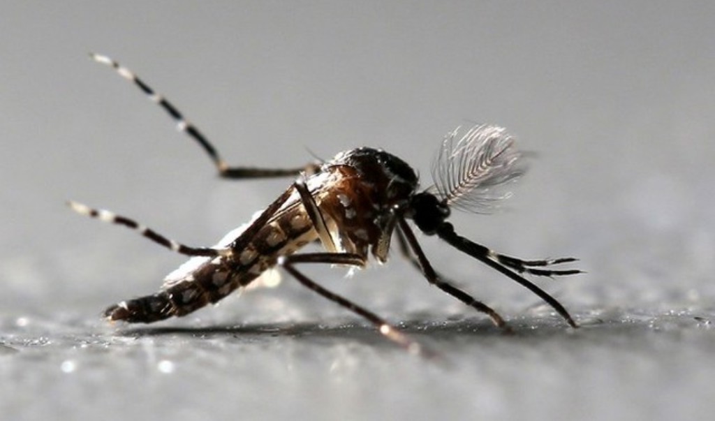 Em dois meses, três pessoas morreram com suspeita de dengue em Sinop