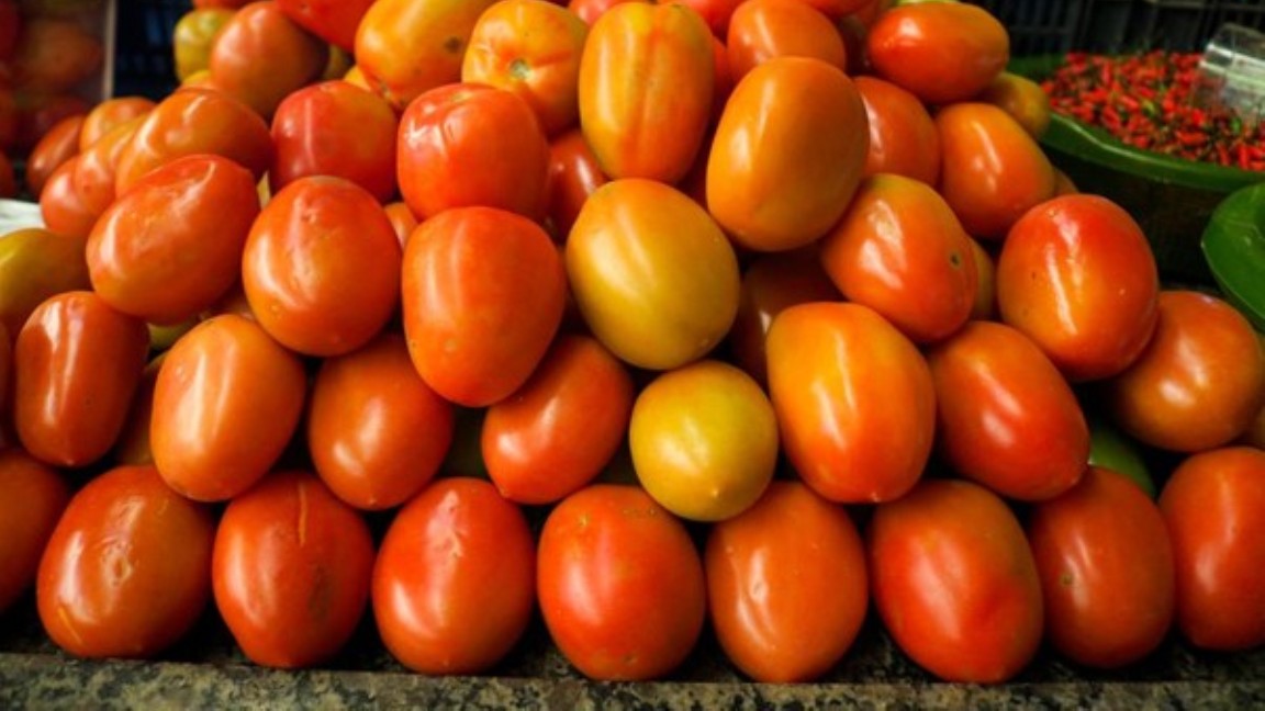 Queda no preço do tomate, batata, abacate e banana maçã chega a 33%