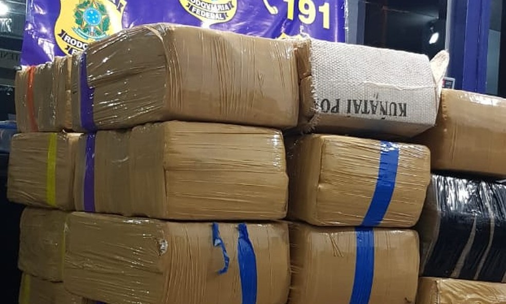 Rondonópolis | Pouco mais de meia tonelada de maconha é apreendida em rodovia