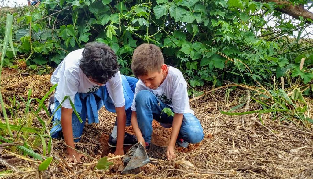 Escola de Alta Floresta aposta na conscientização dos alunos para o equilíbrio ecológico
