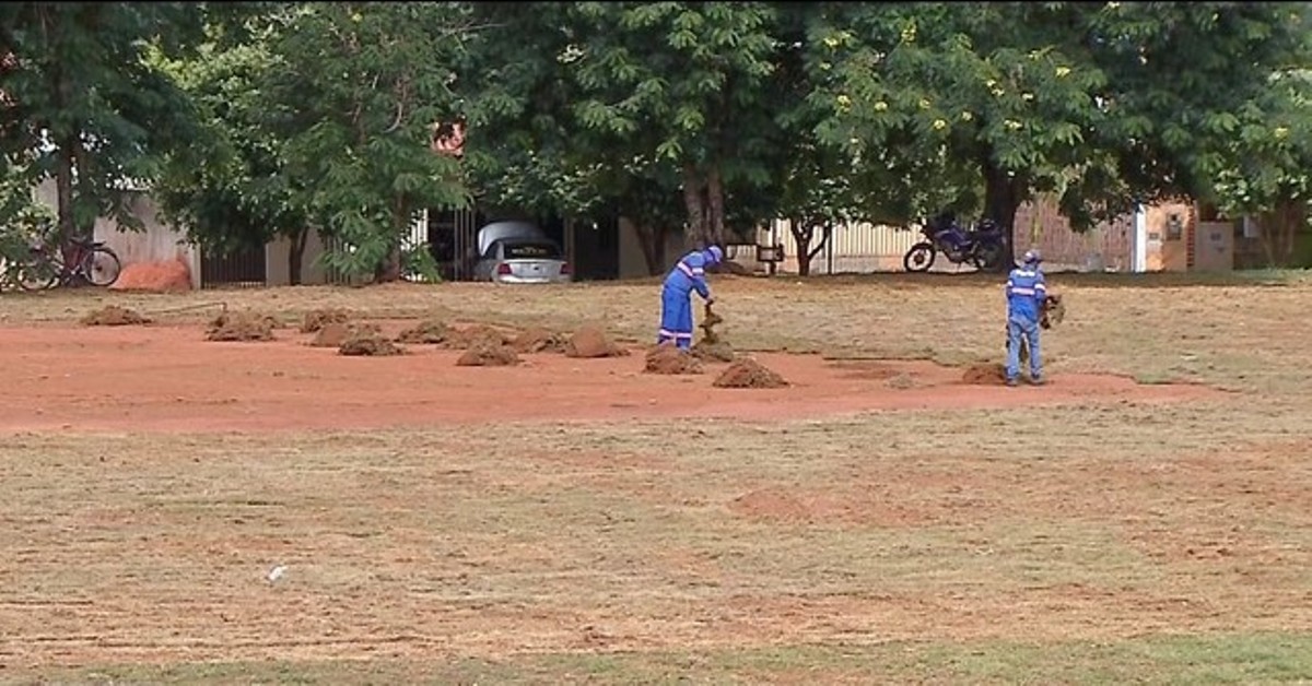 Rondonópolis | Campo tem cerca de 70% da grama furtada e envenenada