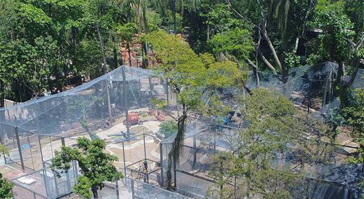 Rio de Janeiro transforma zoológico em bioparque sem jaulas