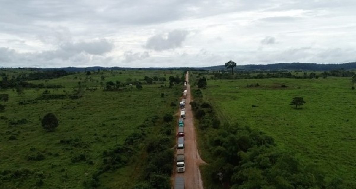 Produções e exportações de gado, leite e madeira são paralisadas devido aos atoleiros em Mato Grosso