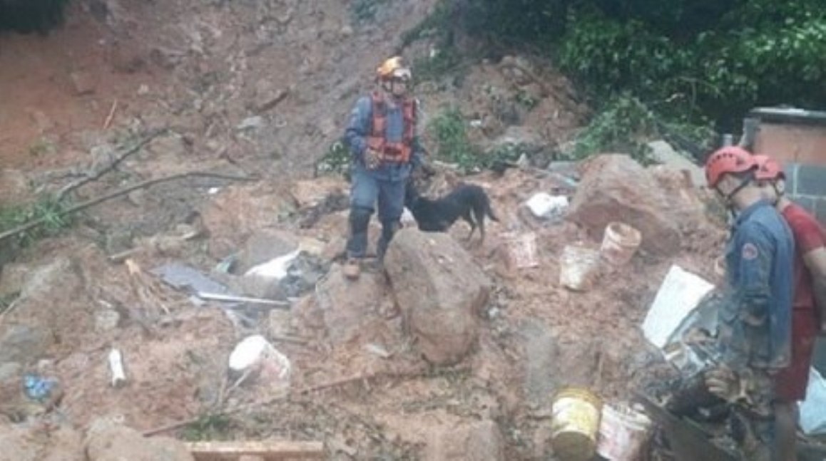 29 mortes já foram registradas após chuvas no litoral paulista 