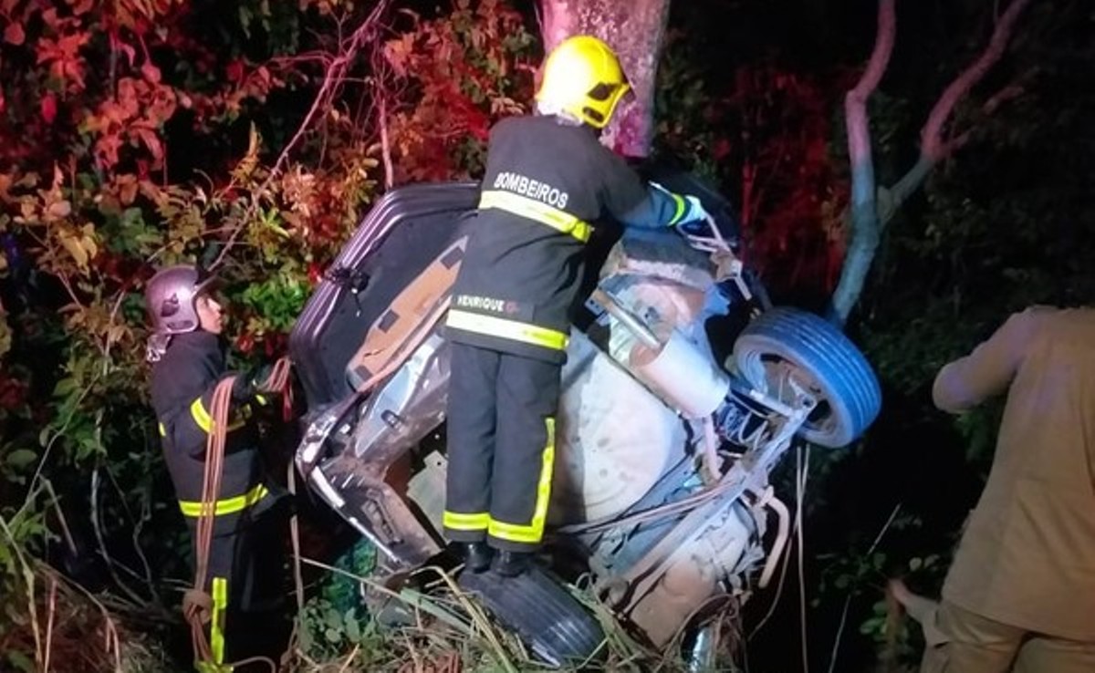 Motorista atropela capivara, sai da pista, bate em árvore e irmãos morrem em MT