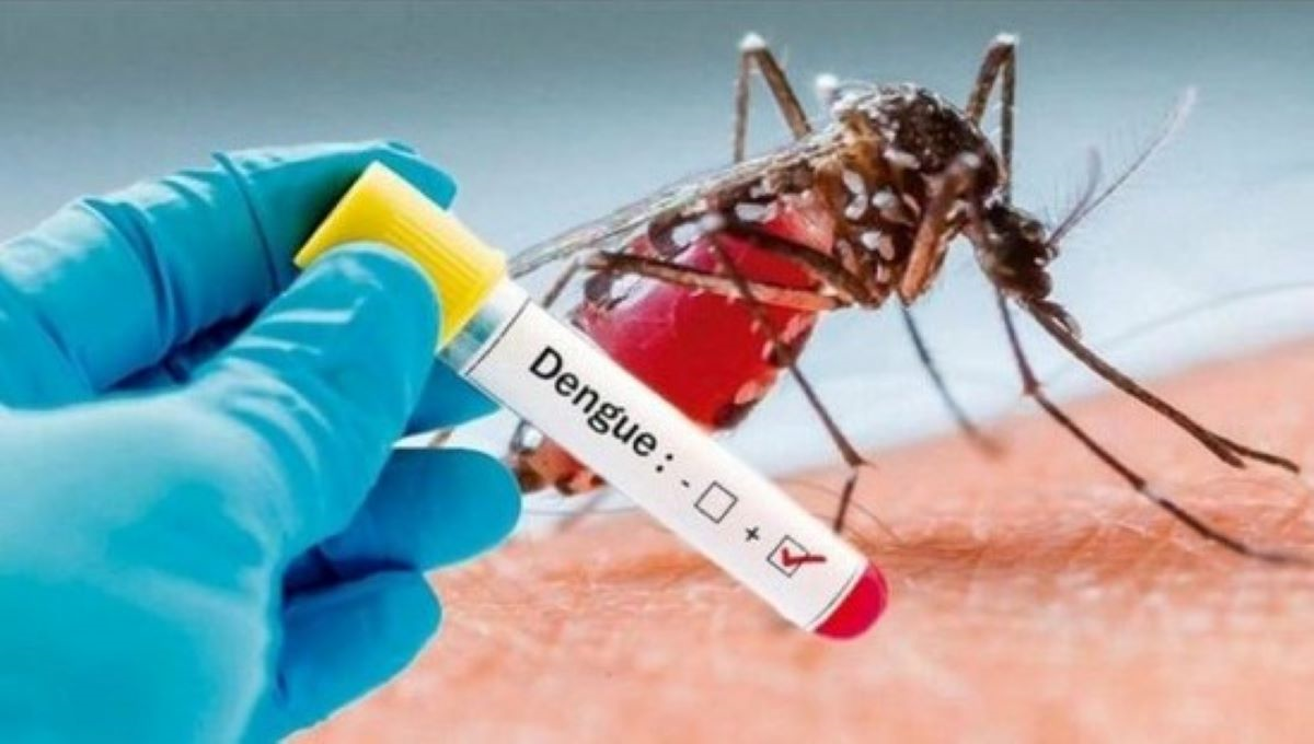 Casos de dengue em MT aumentam mais de 300% em relação a 2019; 5 pessoas morreram