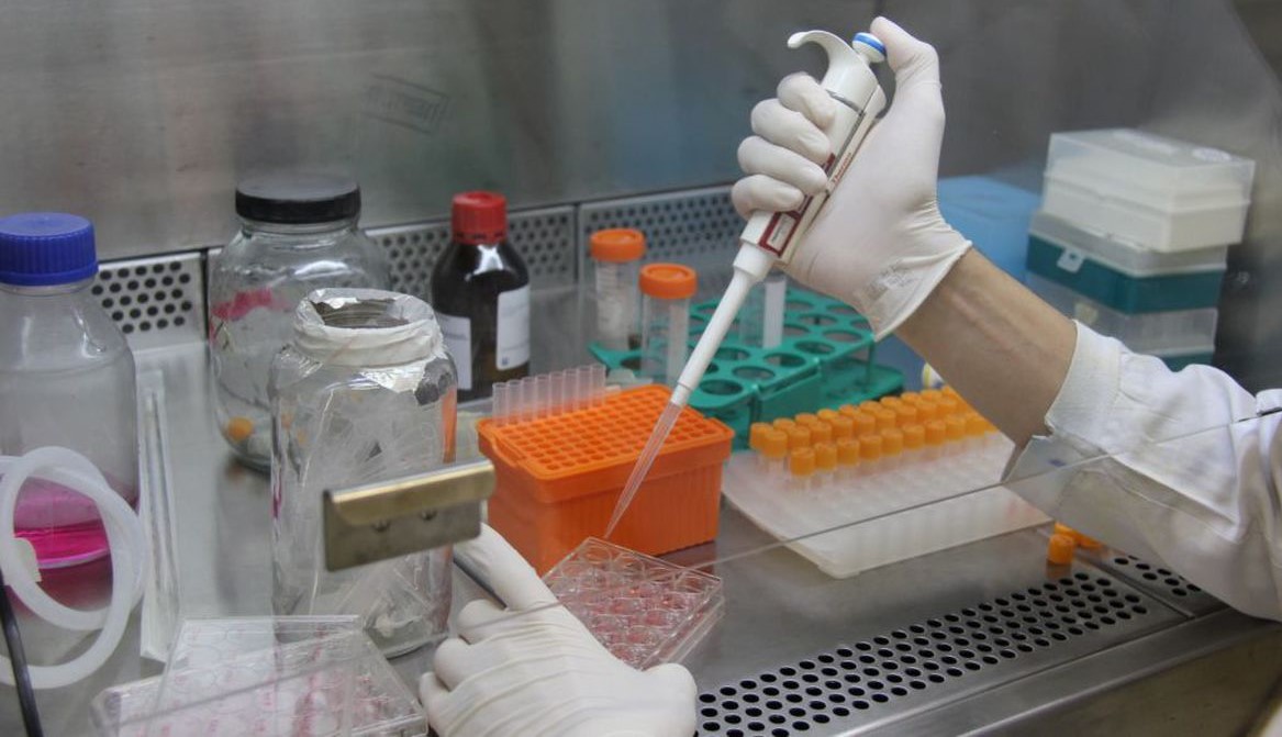 Fiocruz divulga possível eficácia de medicamento contra covid-19