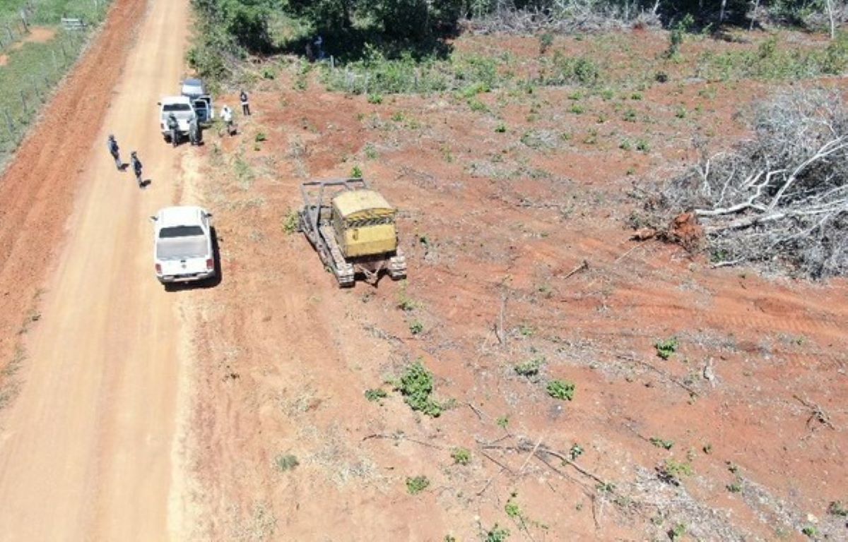 Mato Grosso | Fiscalização flagra área desmatada, embarga confinamento bovino e aplica multa