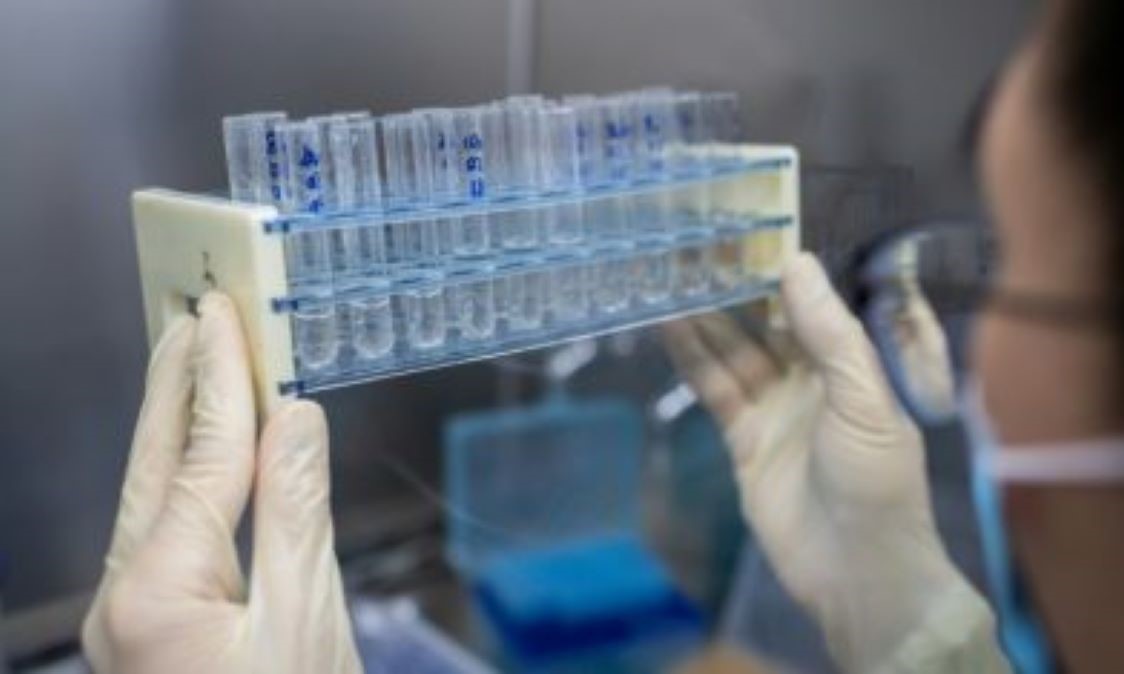 Companhia americana anuncia resultados positivos em vacina contra coronavírus