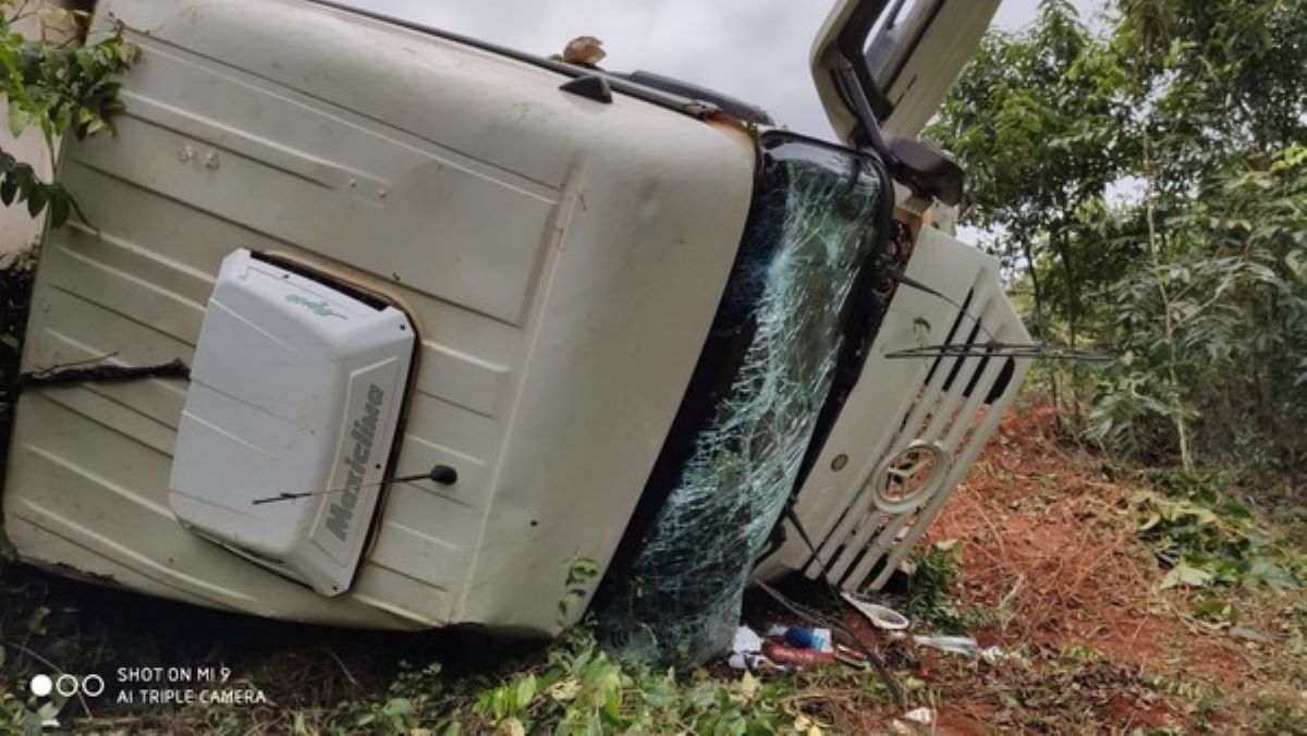 Mato Grosso | Motorista tomba carreta ao desviar de caminhonete em zigue-zague e 7 bois morrem