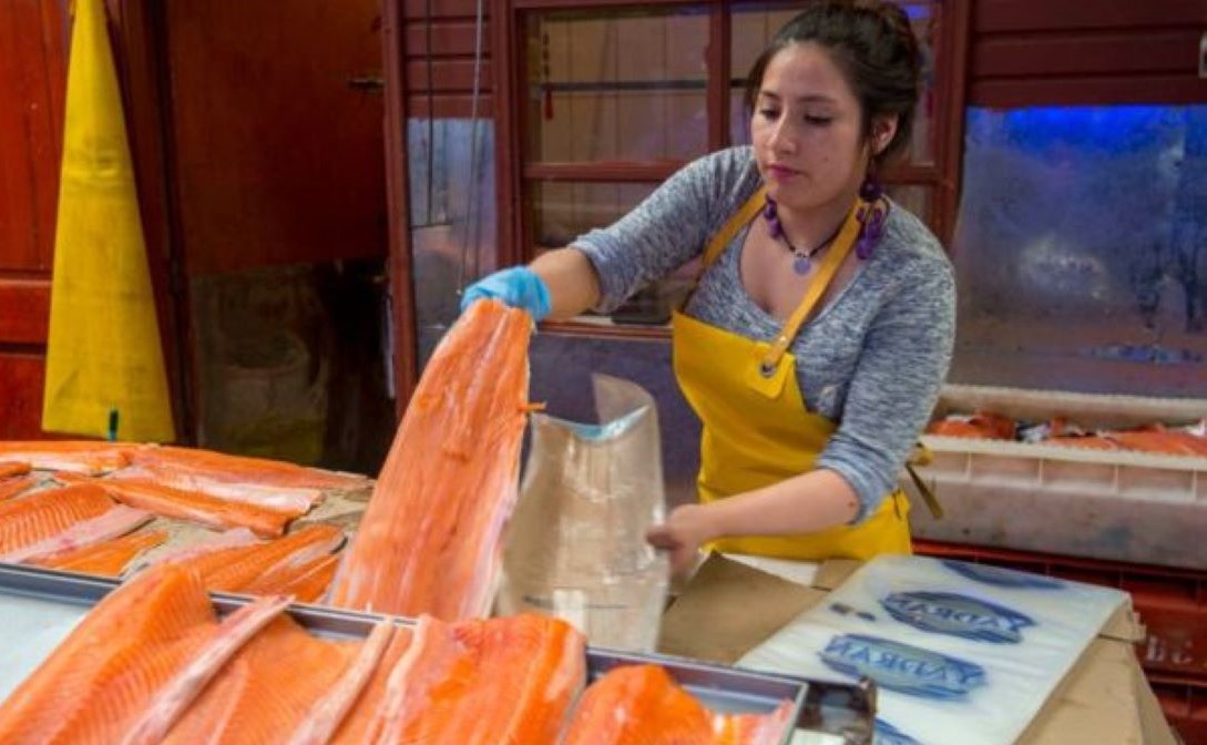 Autoridades chinesas culpam o salmão pelo novo foco de covid-19