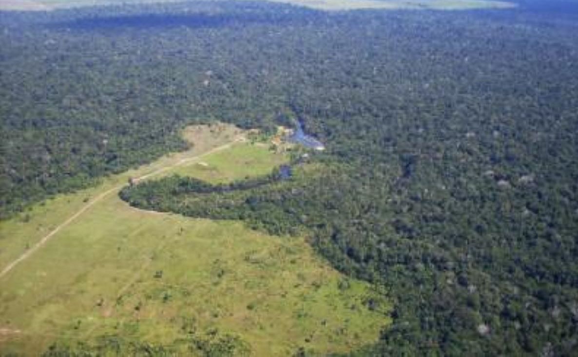 AGU obtém bloqueio de mais R$ 302 milhões em bens de desmatadores da Amazônia