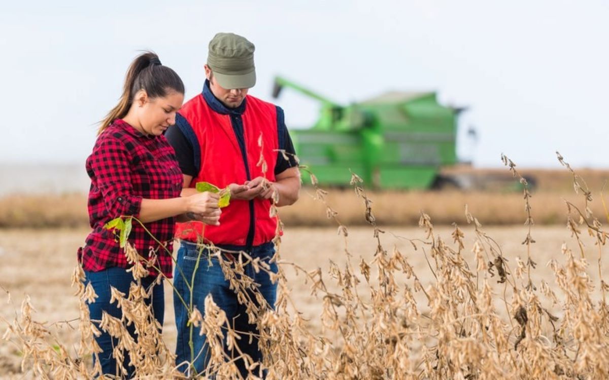 Programa de Residência Agrícola levará qualificação profissional a estudantes