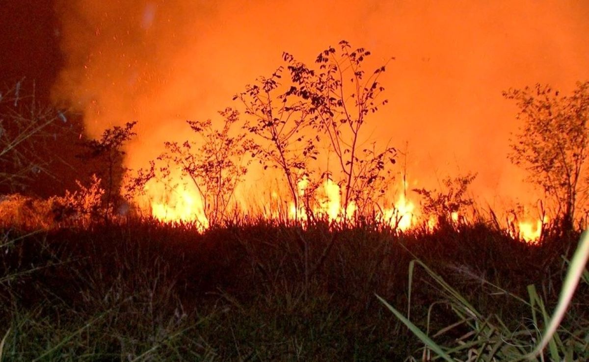 Acrimat alerta pecuarista para início do período proibitivo de queimadas