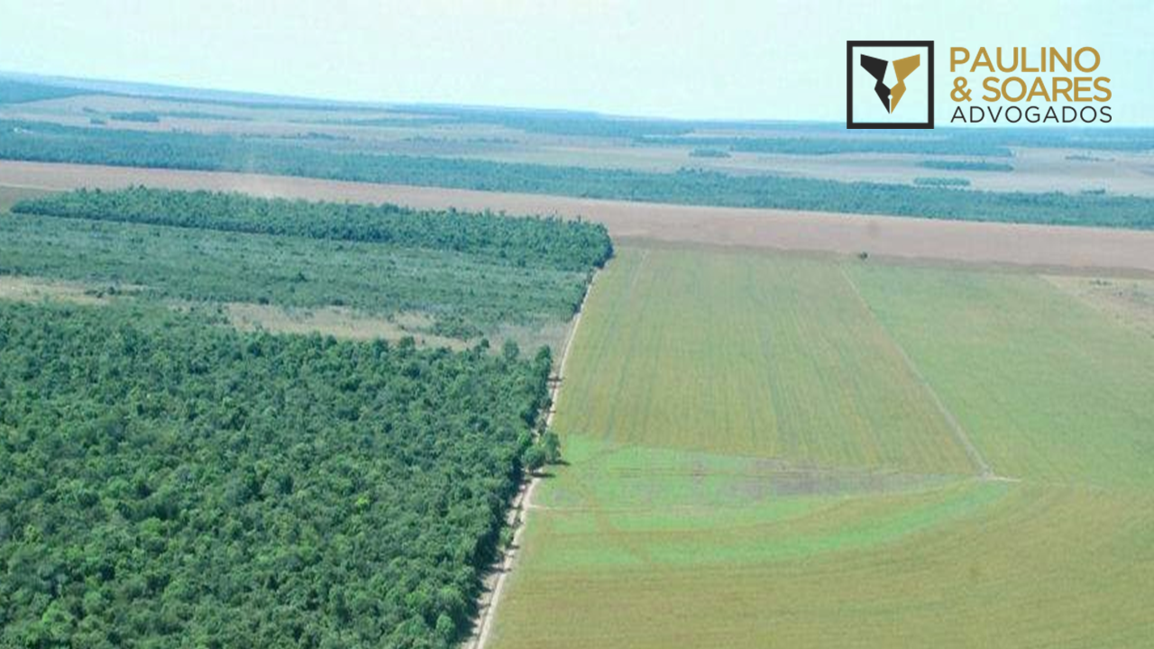 Código Florestal Não Retroage Para Cômputo De APP Em Reserva Legal