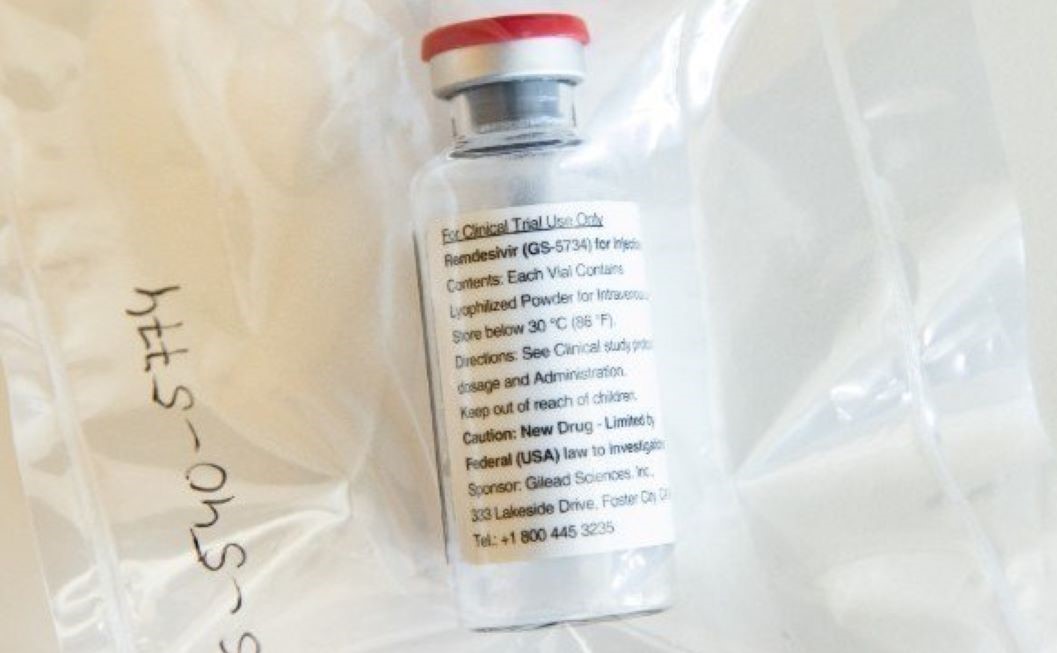 Medicamento antiviral desacelera avanço da covid-19 em macacos