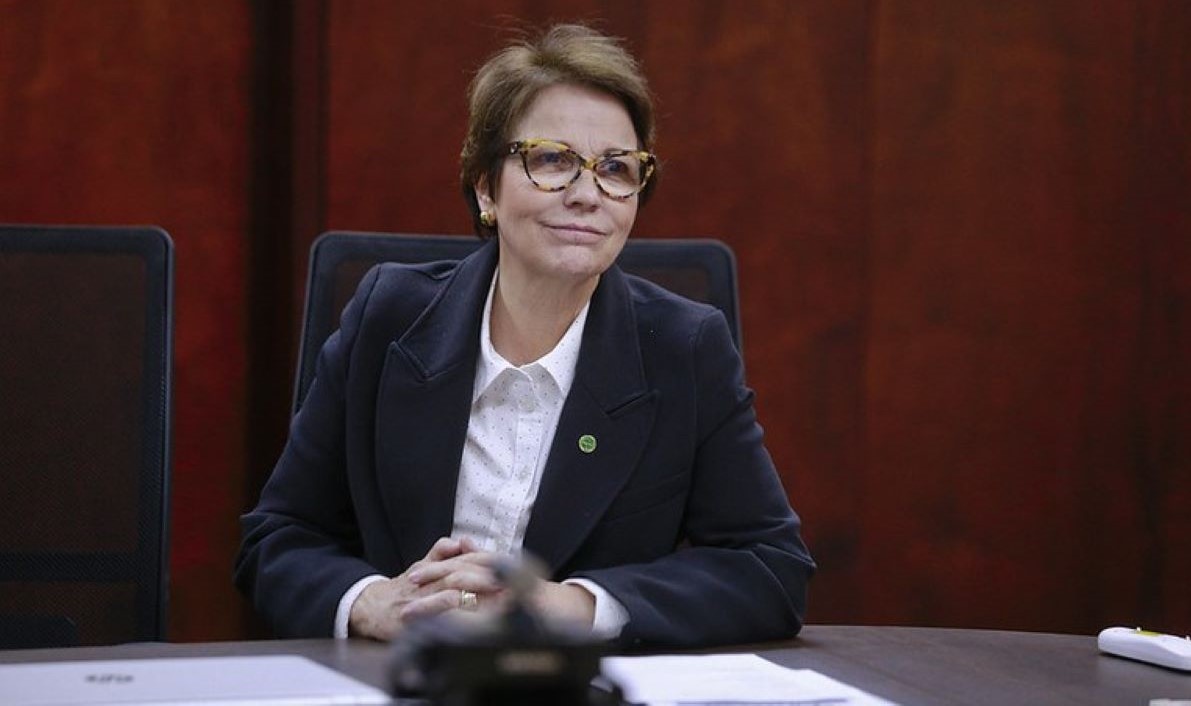 Ministra esclarece a investidores estrangeiros que regularização fundiária será importante para preservação da Amazônia