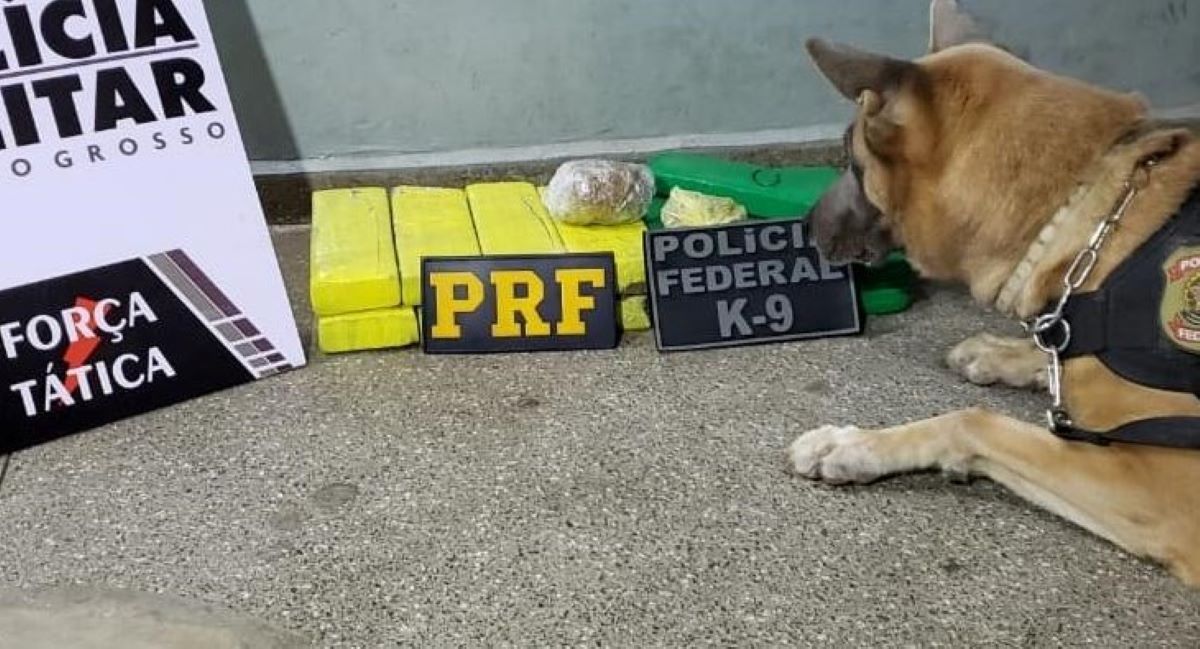 Rondonópolis | Trabalho integrado intercepta adolescente com 15 tabletes de maconha dentro de ônibus