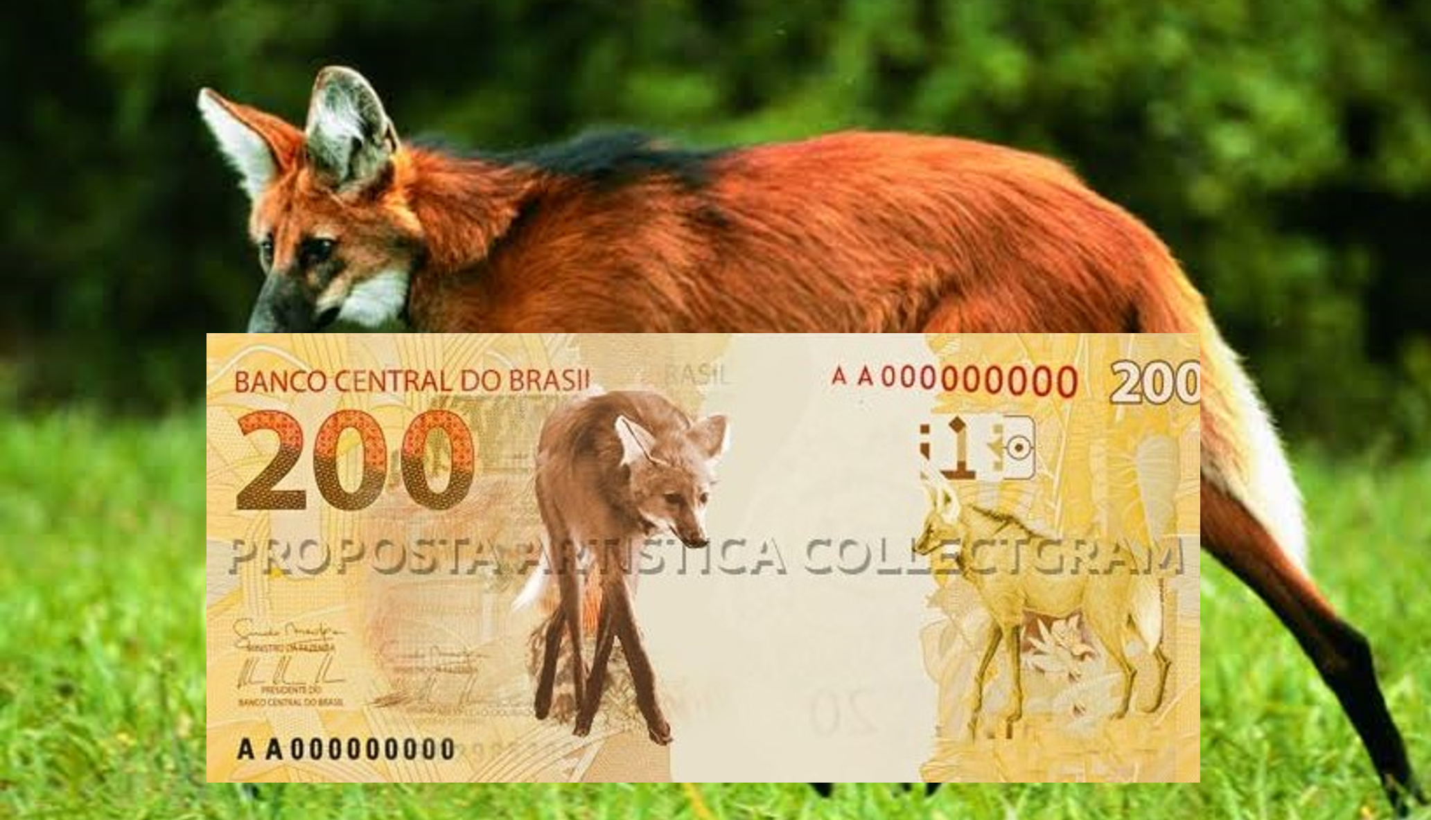 Banco Central anuncia que lançará cédula de R$ 200 para final de agosto