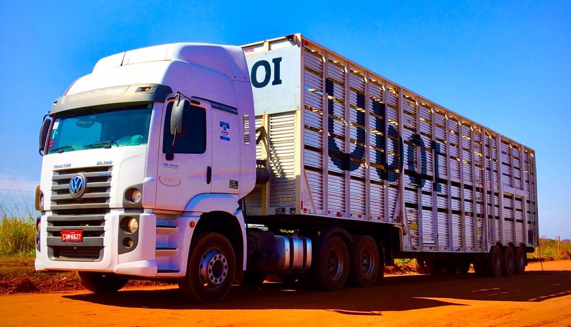 JBS Novos Negócios | primeiro aplicativo brasileiro de transporte de gado chega para revolucionar o setor