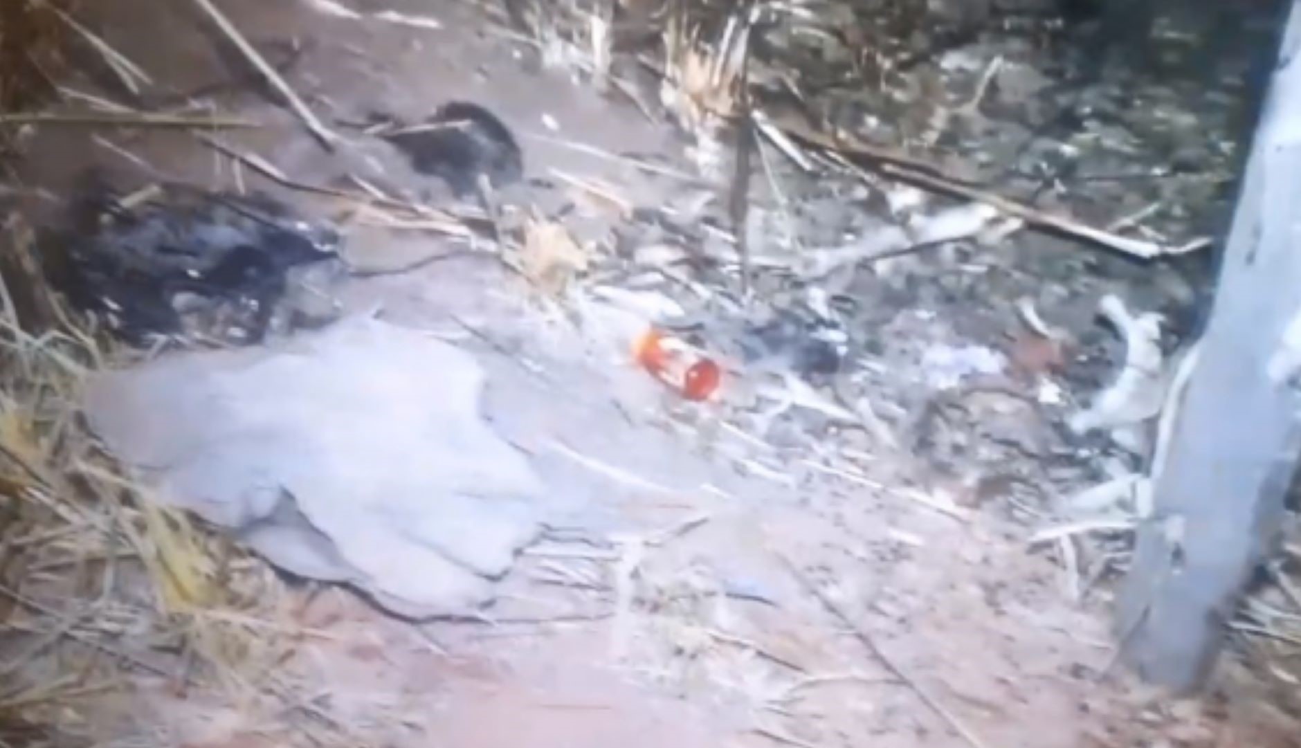 Rondonópolis | Ossada de mulher é encontrada em anel viário