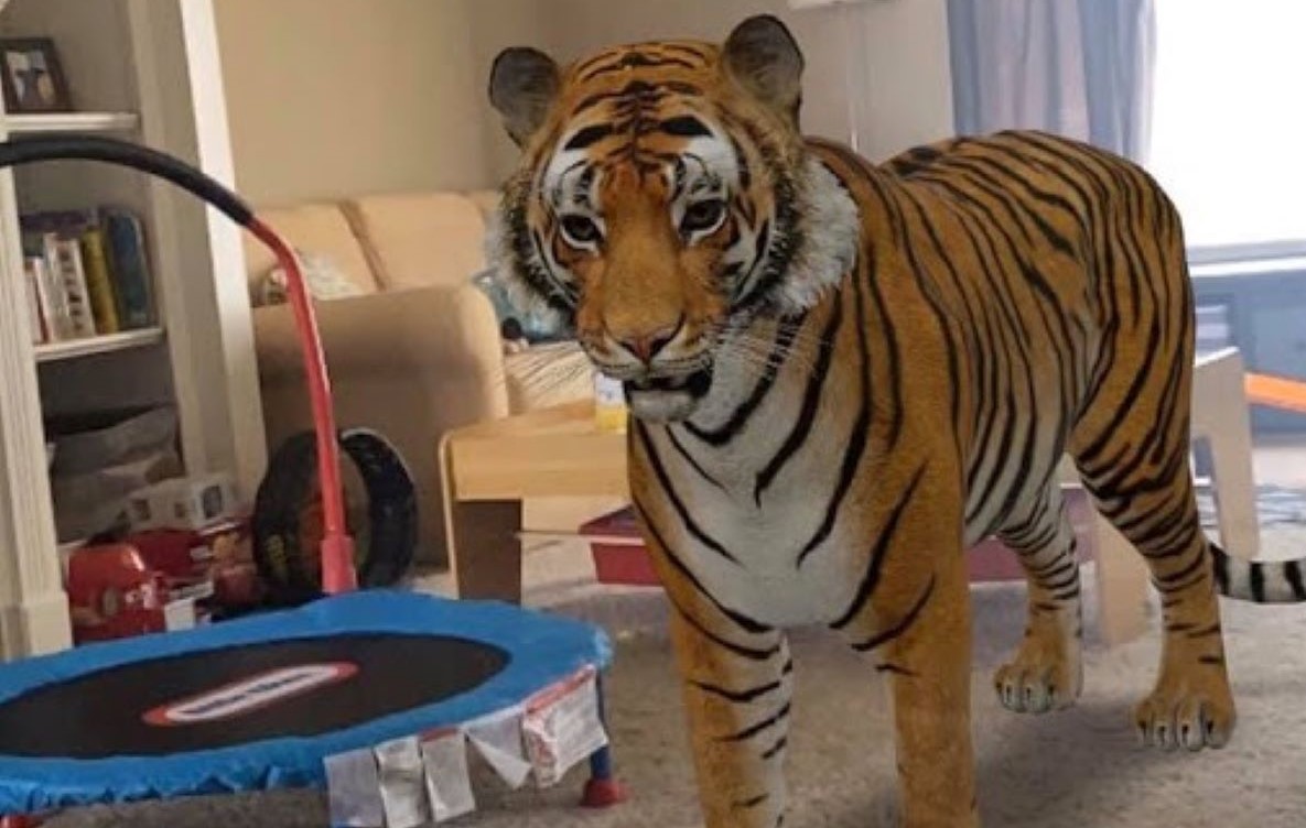 Giro MT Notícias - Google permite ver animais em 3D com realidade